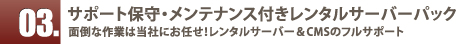 サポート保守・メンテナンス付きレンタルサーバーパック_面倒な作業は当社にお任せ！レンタルサーバー＆CMSのフルサポート